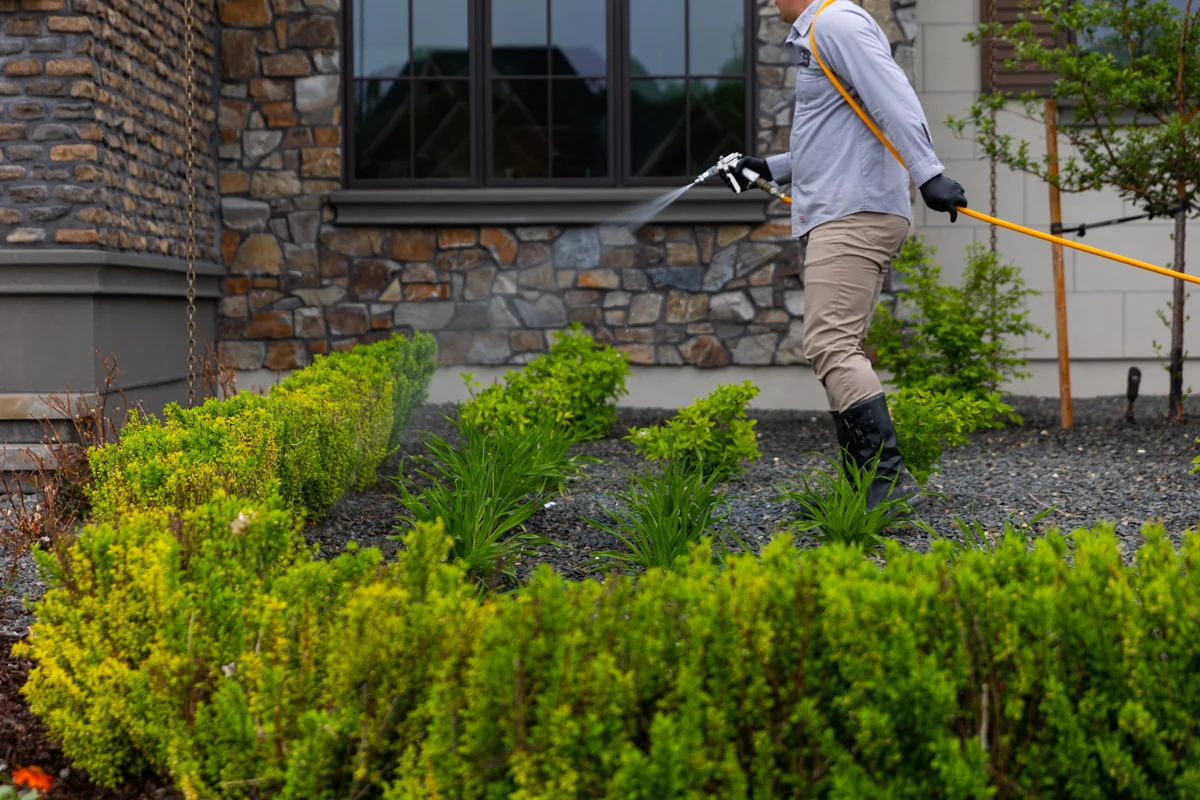 Tree, Shrub & Garden Care